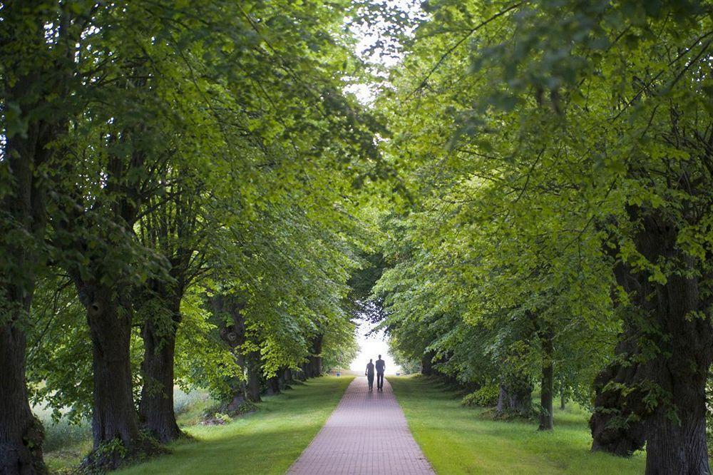 Schlossgut Gross Schwansee Exterior photo The avenue of lime trees
