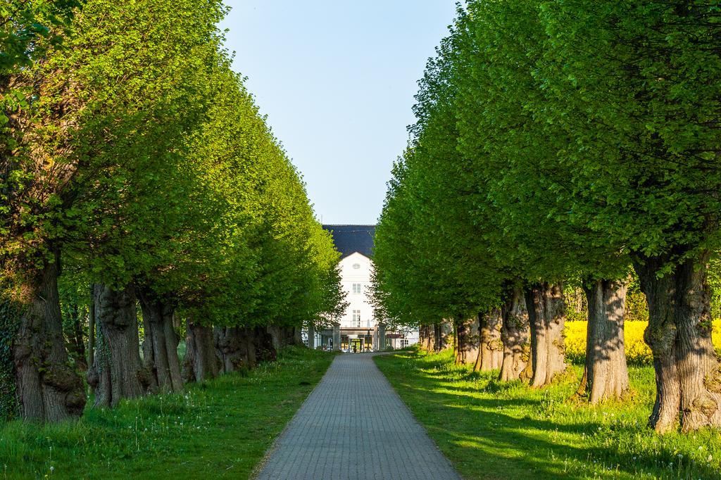 Schlossgut Gross Schwansee Exterior photo The linden tree avenue